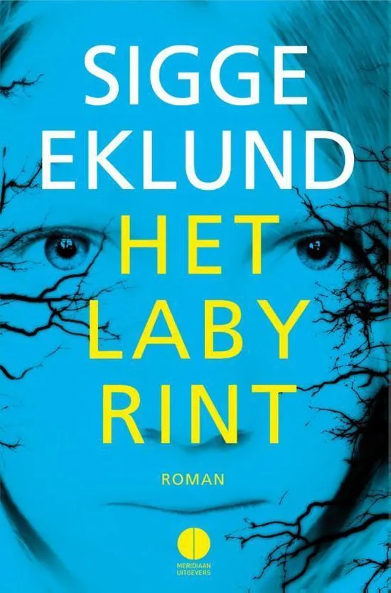 het labyrint sigge eklund roman recensie thrillzone.jpg