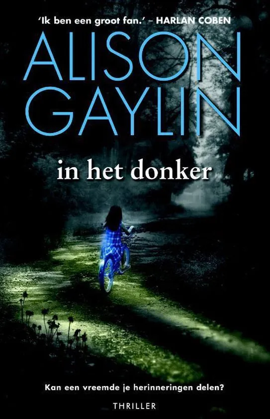 in het donker alison gaylin thriller recensie thrillzone.jpg
