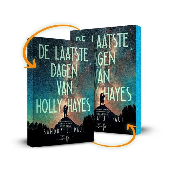 de laatste dagen van holly hayes thriller recensie thrillzone.jpg