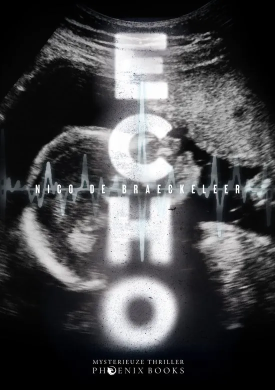 echo nico de braeckeleer thriller recensie spanning thrillzone.jpg