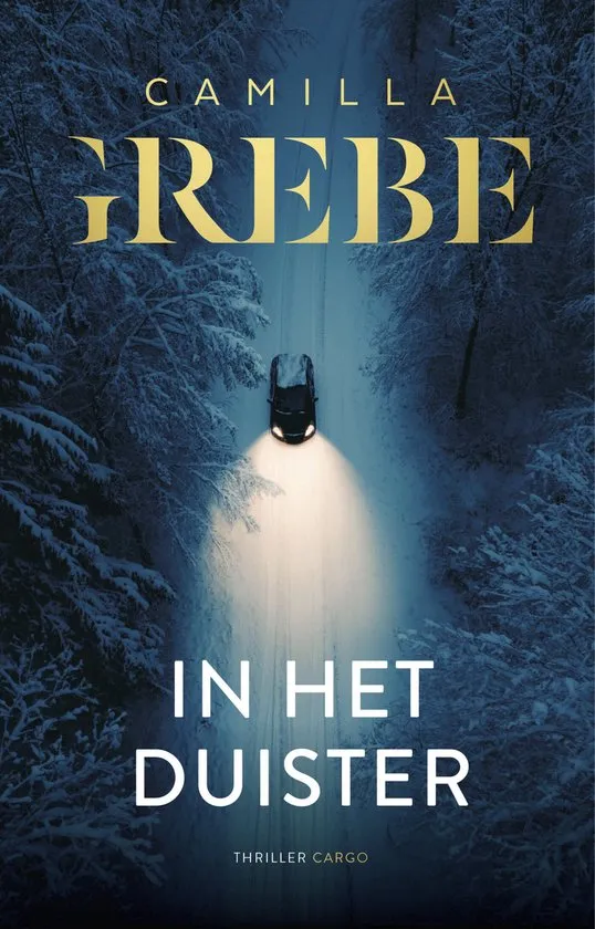 in het duister camilla grebe thriller recensie thrillzone spanning boek.jpg