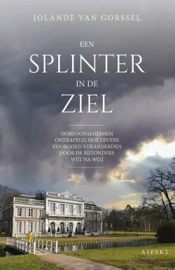 een splinter in de ziel jolande van gorssel roman recensie thrillzone.jpg