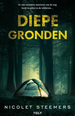 diepe gronden nicolet steemers thriller recensie thrillzone.jpg