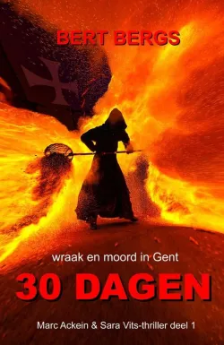 30 dagen bert bergs thriller recensie thrillzone.jpg