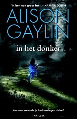 in het donker alison gaylin thriller recensie thrillzone.jpg