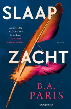 slaap zacht b.a. paris thriller recensie thrillzone spanning boek.jpg