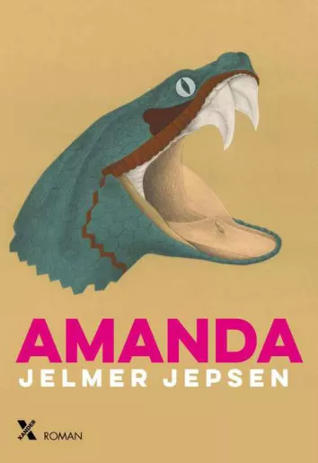 De omslag afbeelding van het boek Jepsen, Jelmer - Amanda