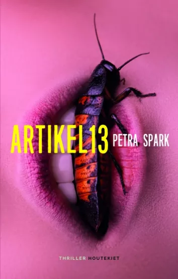 De omslag afbeelding van het boek Spark, Petra - Artikel 13