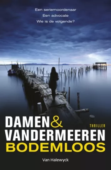 De omslag afbeelding van het boek Damen & Vandermeeren - Bodemloos