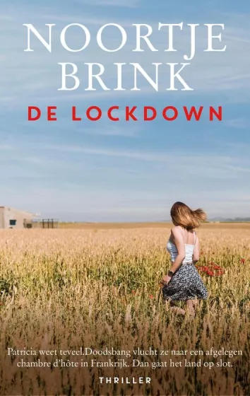 De omslag afbeelding van het boek Brink, Noortje - De lockdown