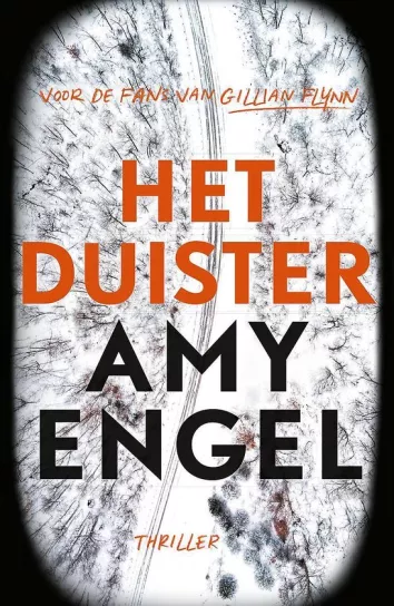 De omslag afbeelding van het boek Engel, Amy - Het duister