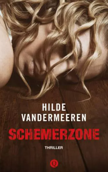 De omslag afbeelding van het boek Vandermeeren, Hilde - Schemerzone