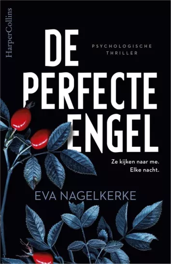De omslag afbeelding van het boek De perfecte engel