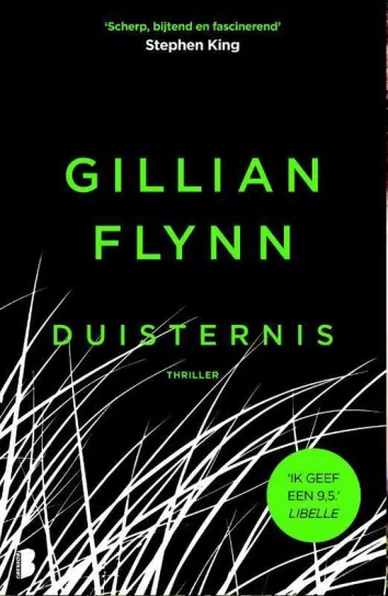 duisternis gillian flynn thriller recensie thrillzone.jpg