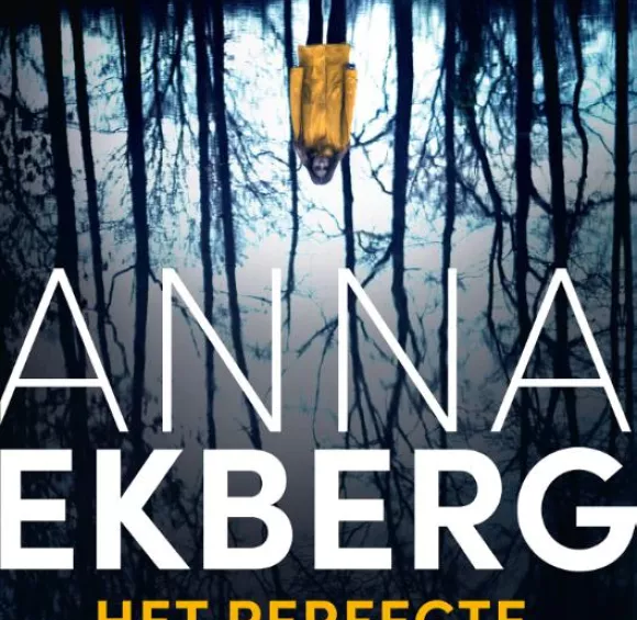 het perfecte huwelijk anna ekberg thriller recensie thrillzone.jpg