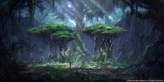Bosmer Treehenge concept art for The Elder Scrolls Online