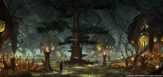 Valenwood concept art for The Elder Scrolls Online