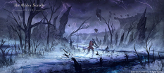 Wilderness artwork for The Elder Scrolls Online