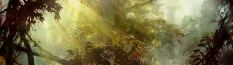 Concept art of forest for Guild Wars 2 by Richard Anderson