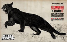 Wallpaper with concept art of Cougar from Red Dead Redemption