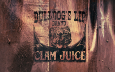 Wallpaper with concept art of Bulldog's Lip Brand from Red Dead Redemption