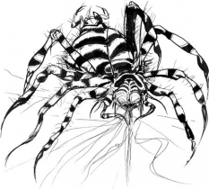 Tarantula concept art from Final Fantasy by Yoshitaka Amano
