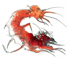 Karlabos concept art from Final Fantasy V by Yoshitaka Amano
