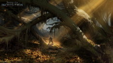 Forest concept art from the video game Dragon Age: Inquisition by Matt Rhodes