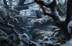Forest concept art from the video game Ryse: Son of Rome