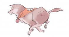 Canine Warrior Ume (Jin) concept art from the video game Okami