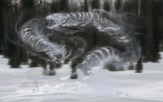 Ice Wraith Color Study concept art from The Elder Scrolls V: Skyrim by Adam Adamowicz