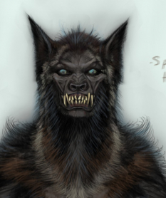 Werewolf Female Head concept art from The Elder Scrolls V: Skyrim by Adam Adamowicz