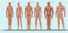 Body Types Male concept art from The Elder Scrolls V: Skyrim by Adam Adamowicz