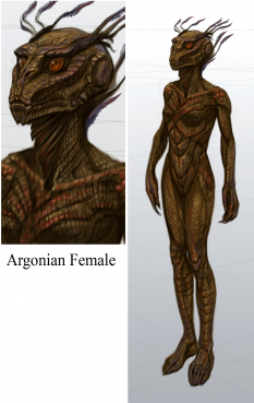 Argon Female concept art from The Elder Scrolls V: Skyrim by Adam Adamowicz