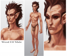 Wood Elf Male concept art from The Elder Scrolls V: Skyrim by Adam Adamowicz