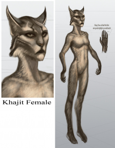 Khajit Female concept art from The Elder Scrolls V: Skyrim by Adam Adamowicz