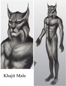 Khajit Male concept art from The Elder Scrolls V: Skyrim by Adam Adamowicz