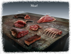 Concept art of Meat from The Elder Scrolls V: Skyrim by Ray Lederer