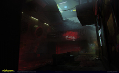 Concept art of City Street from the video game Cyberpunk 2077 by Bogna Gawrońska