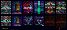 Concept art of Music Posters And Graffiti from the video game Cyberpunk 2077 by Marta Leydy