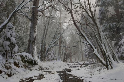 Concept art of a snow forest from The Last of Us by Aaron Limonick