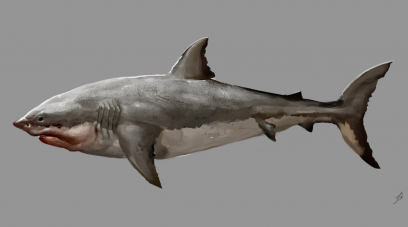 Great White Shark concept art from Assassin's Creed IV: Black Flag