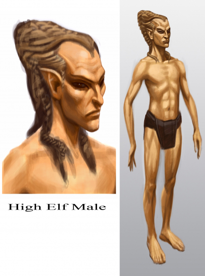 High Elf Male concept art from The Elder Scrolls V: Skyrim by Adam Adamowicz