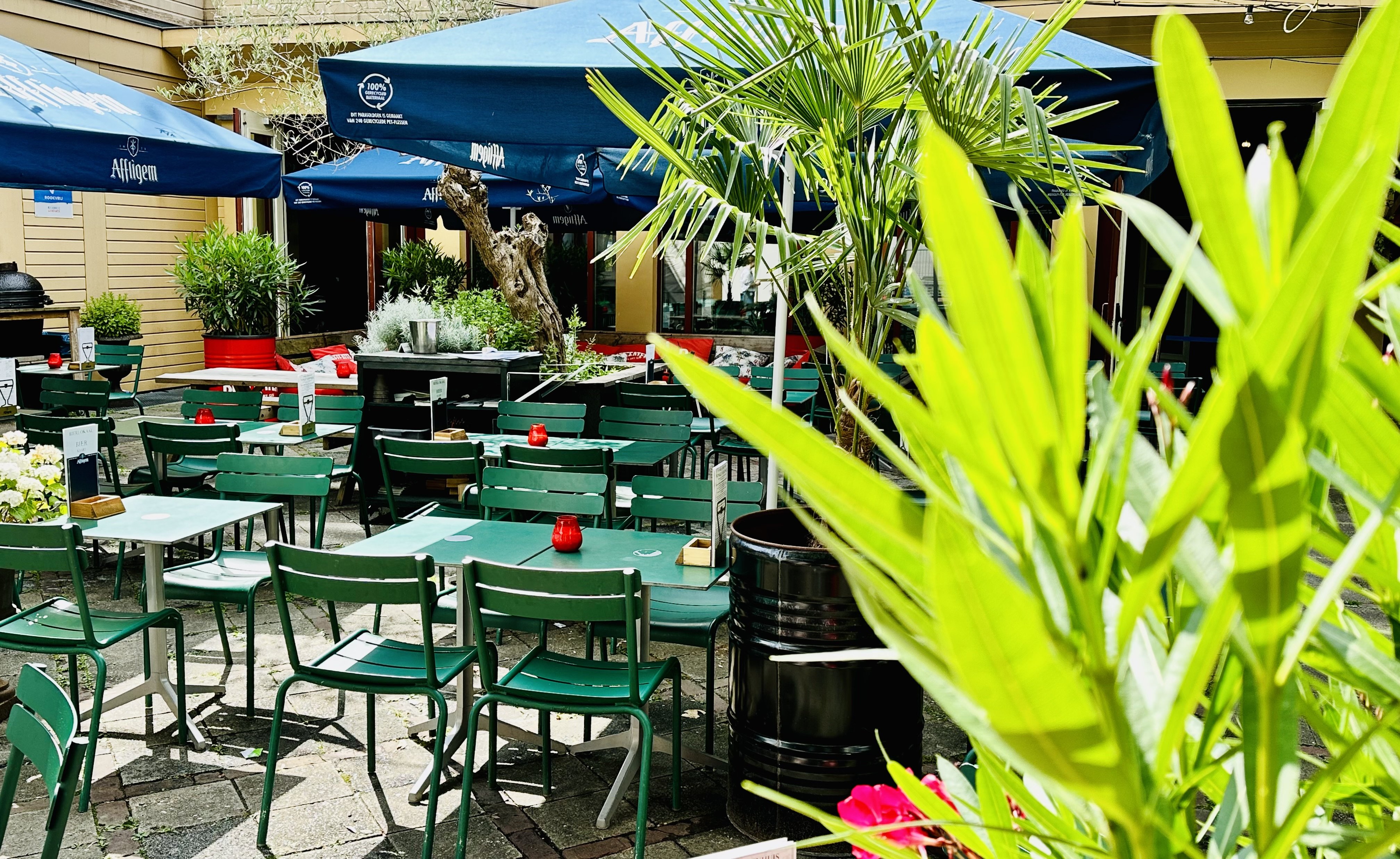 Binnentuin in de zomer