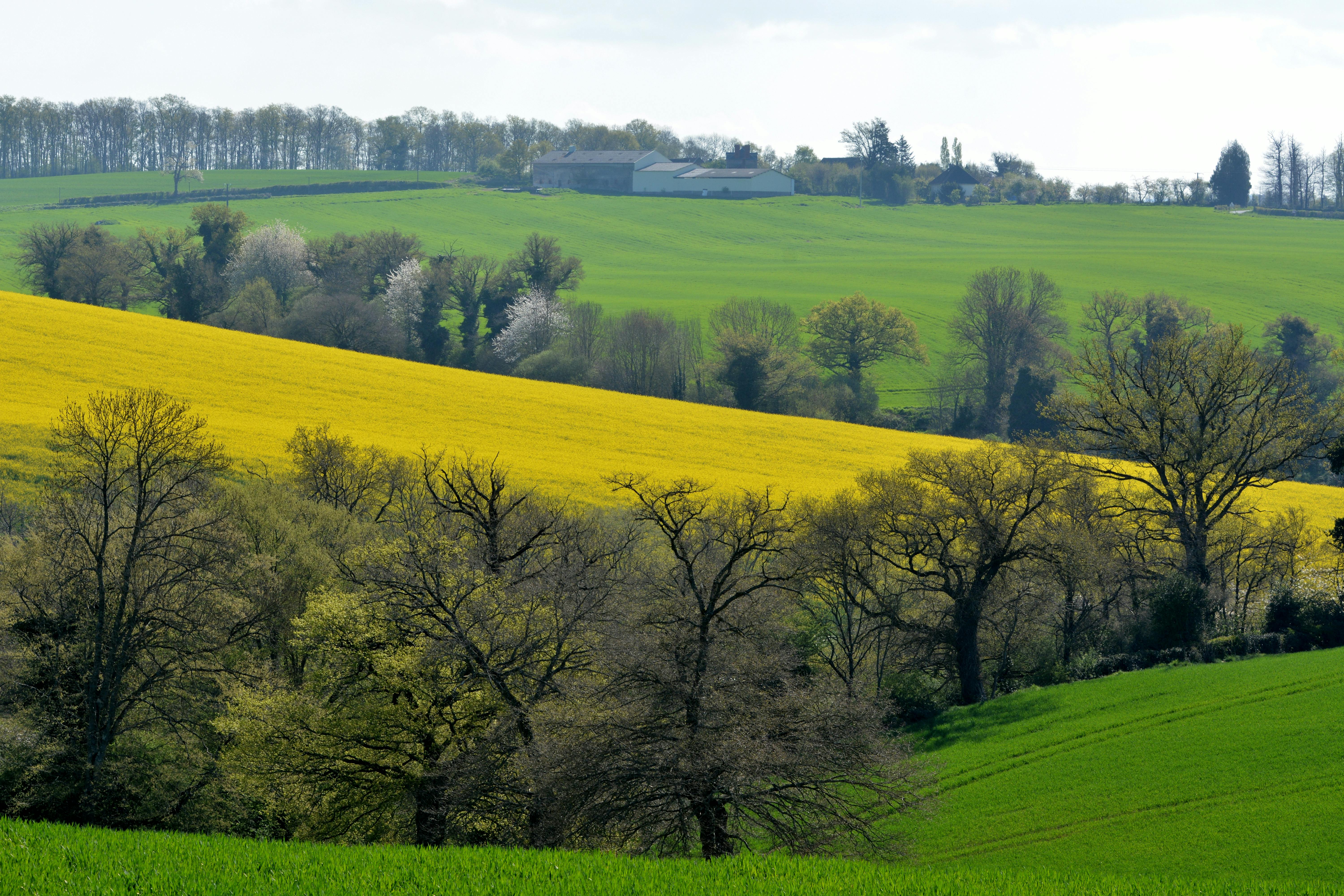 Climate in France: An Overview of Weather and Regional Variations