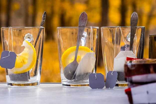 Cocktails et Mocktails Pratiques pour Chaque Visite de Beach Club