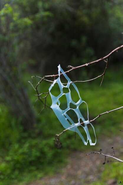 Basic Climbup Insect Interceptor – Setup, Use, and Benefits for Mosquito Surveillance