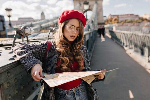 Unlocking Insights – Exploring the French Traveller
