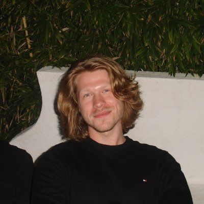 david