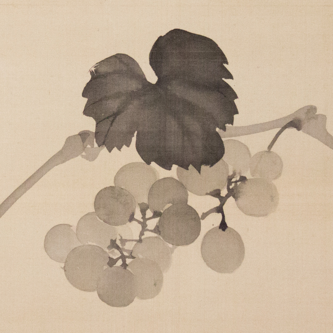Abiding in the Vine (John 15:1-11) episode artwork